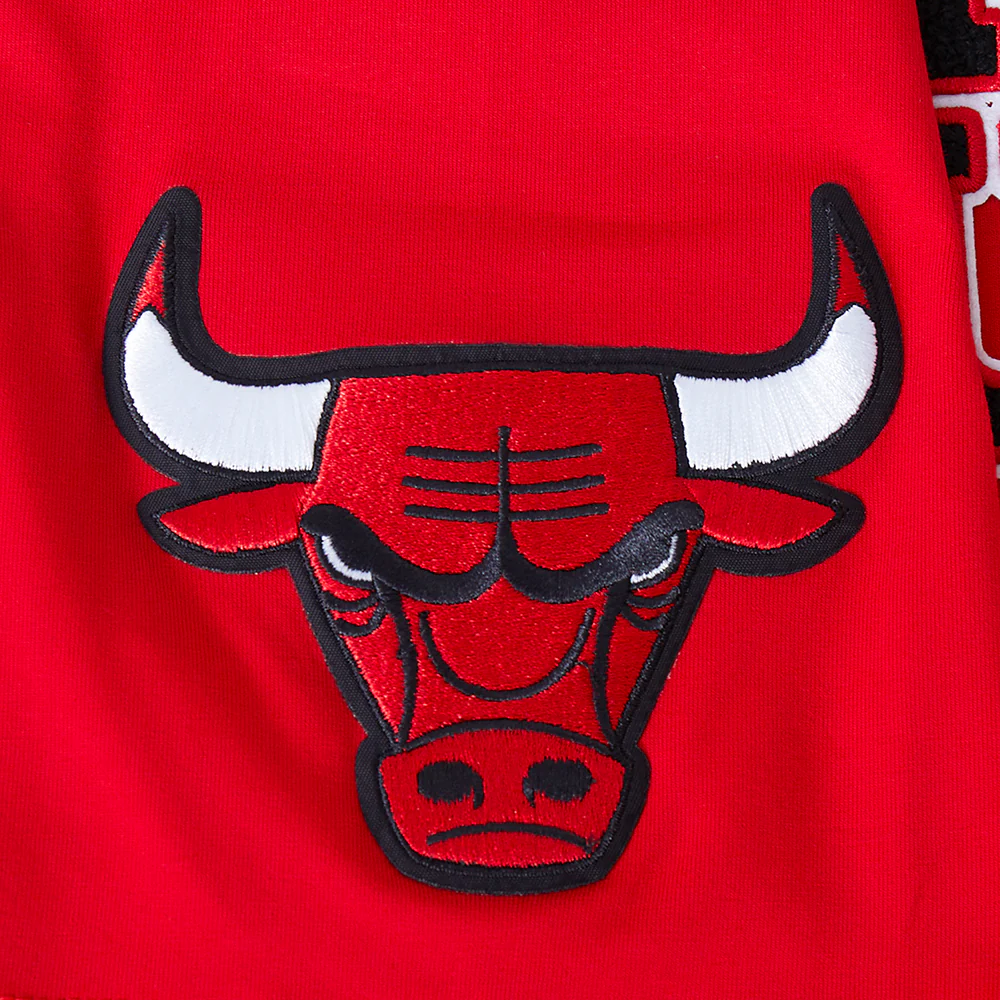NBA CHICAGO BULLS TEAM PENNANTS MEN'S WORDMARK TEE (RED) - Image 5