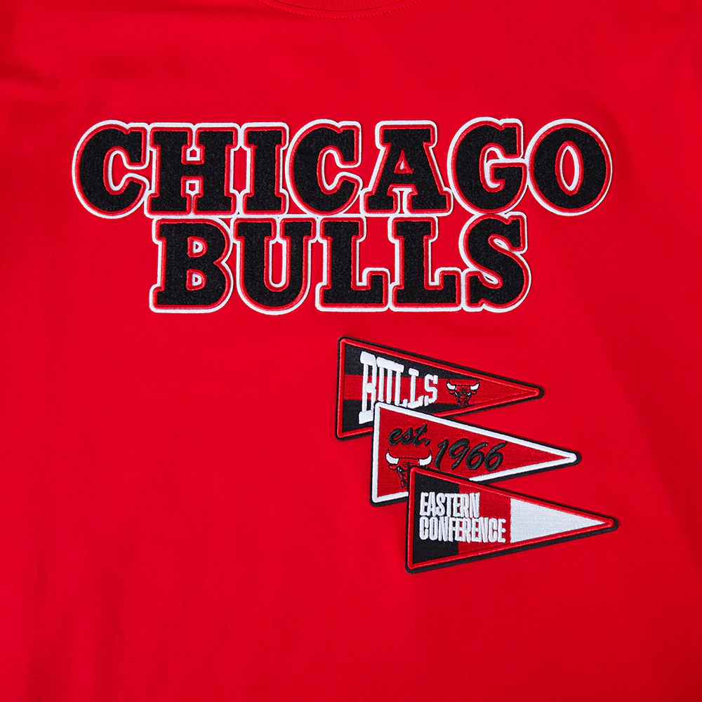 NBA CHICAGO BULLS TEAM PENNANTS MEN'S WORDMARK TEE (RED) - Image 6