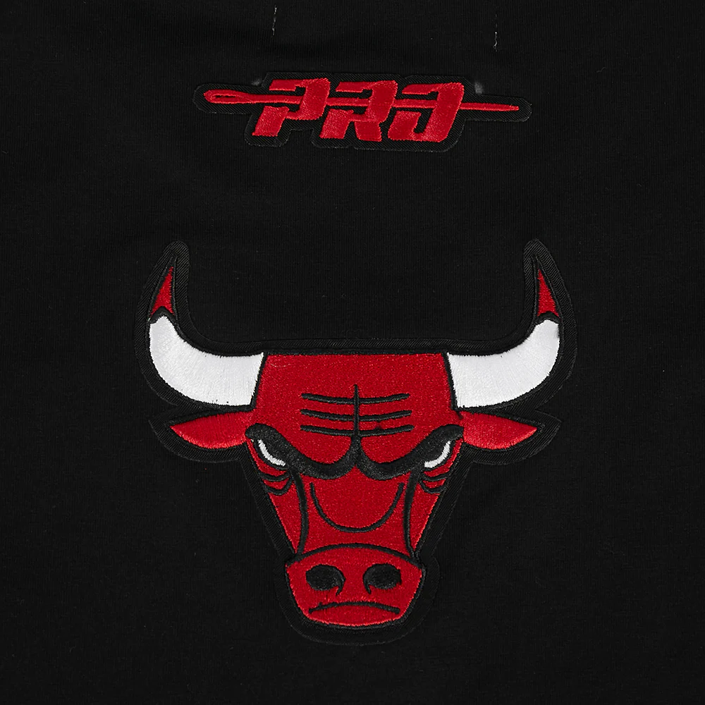 NBA CHICAGO BULLS CITY ARCH MEN'S SJ TEE (BLACK) - Image 10