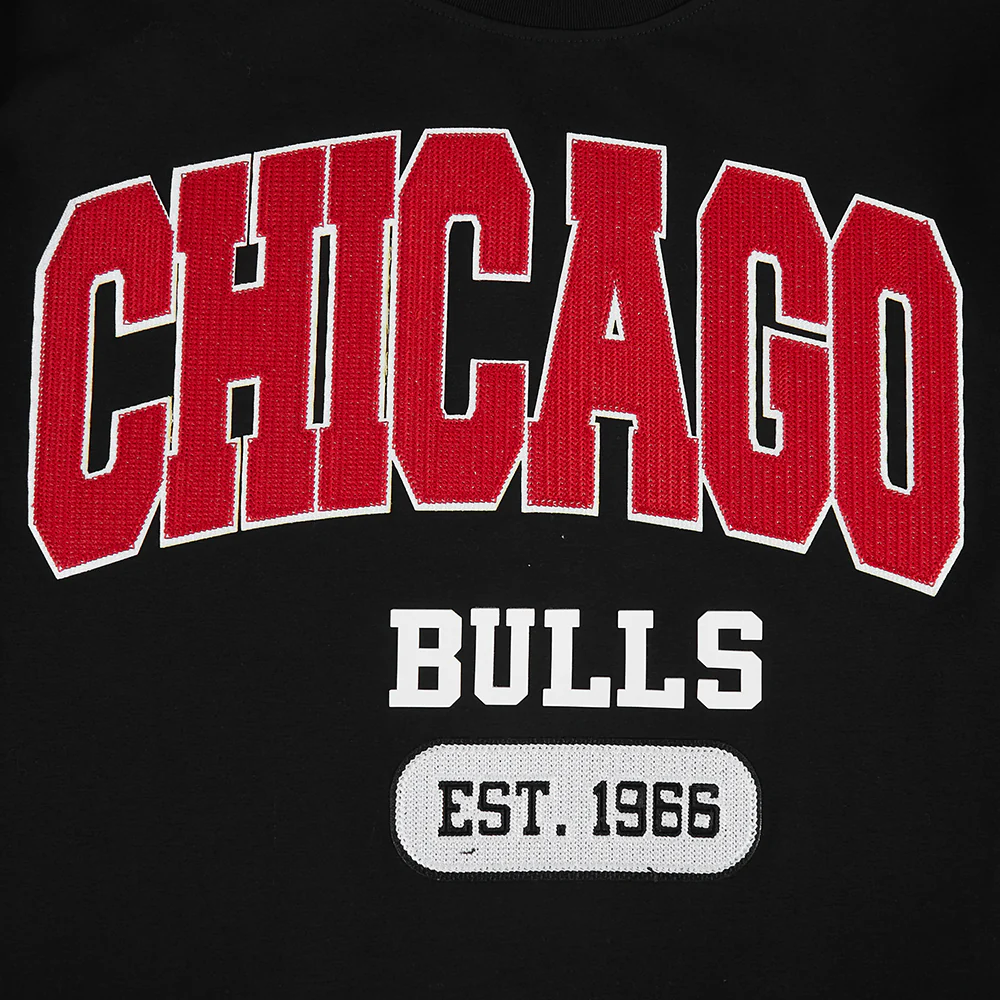 NBA CHICAGO BULLS CITY ARCH MEN'S SJ TEE (BLACK) - Image 9