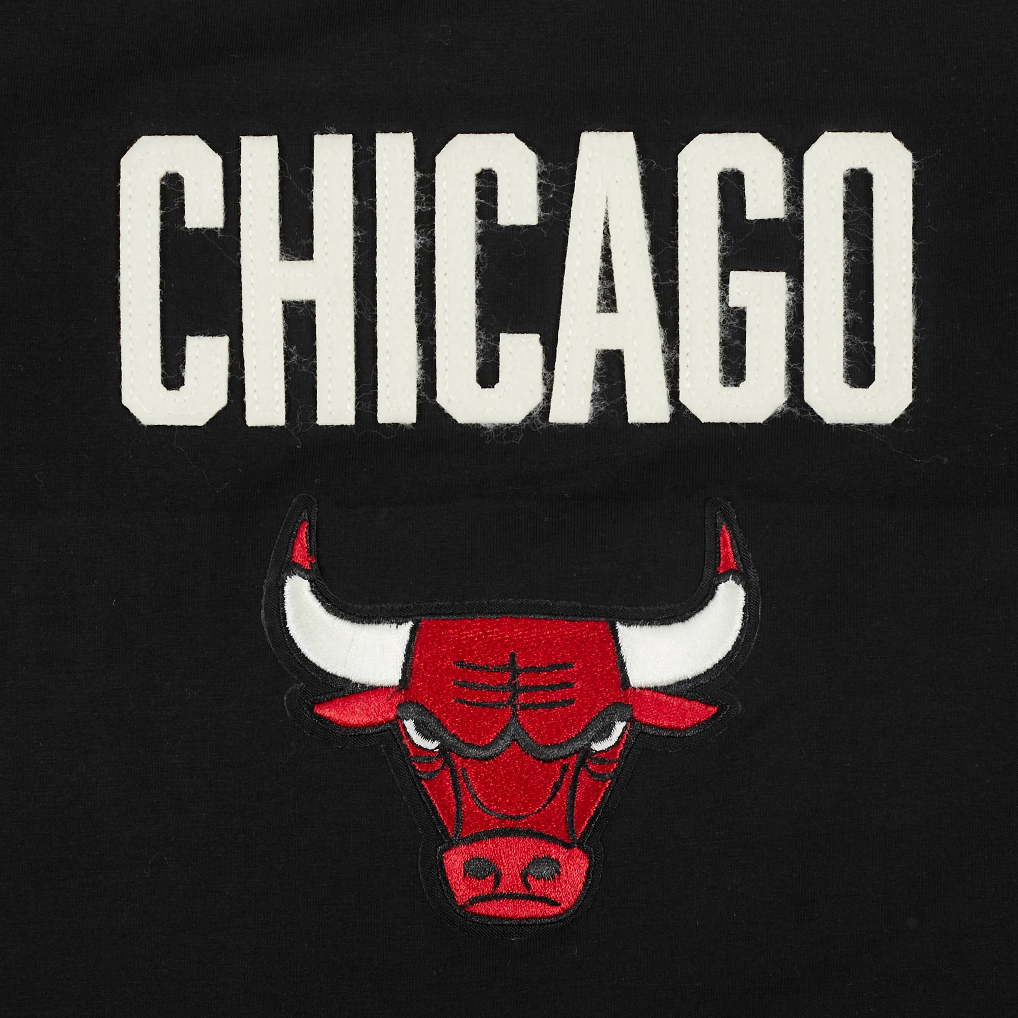 NBA CHICAGO BULLS MODERN ORIGINALS WOMEN'S SJ BOXY TEE (BLACK) - Image 6
