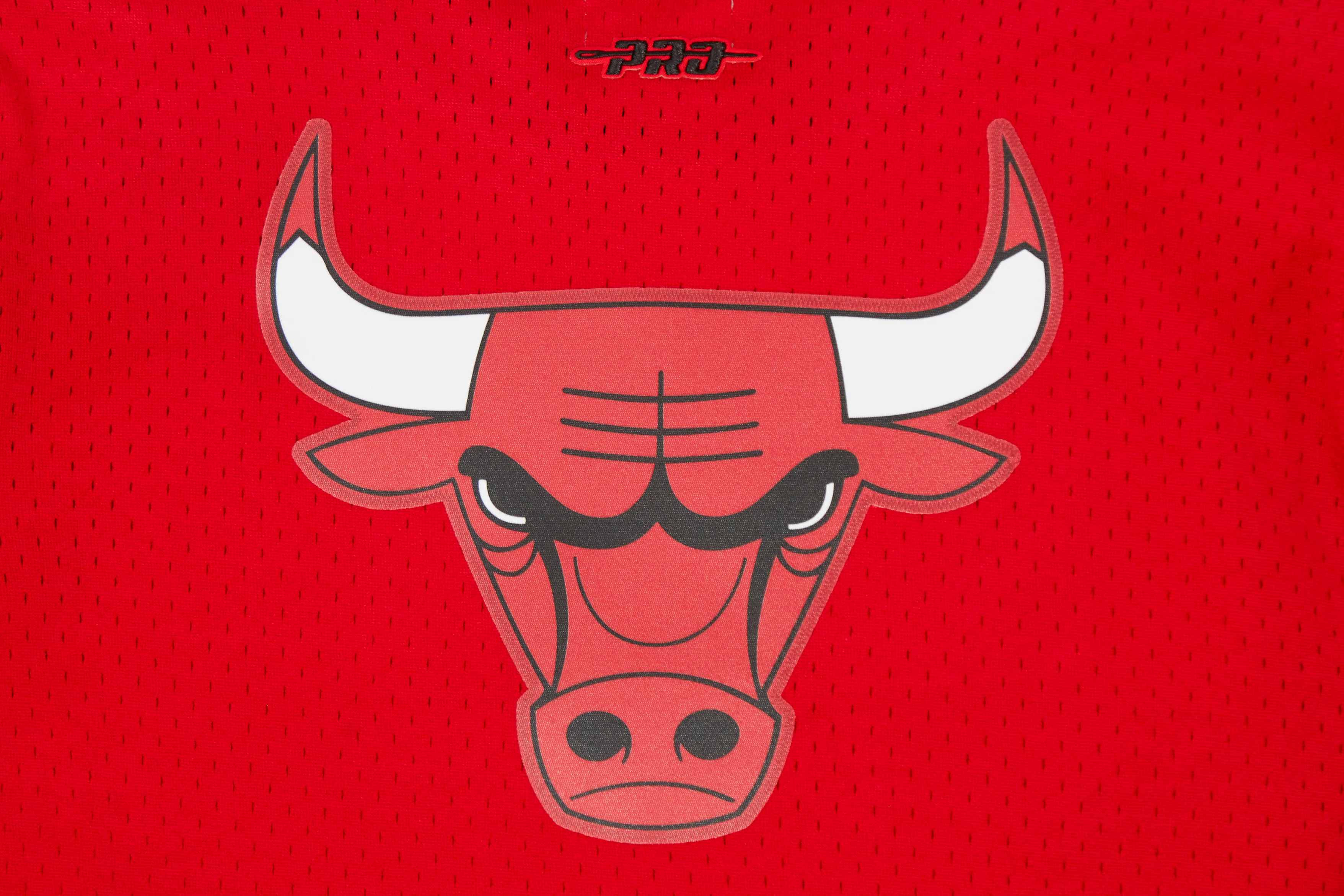 NBA CHICAGO BULLS CLASSIC BIG BOYS SHORT SLEEVE MESH TEE (RED/BLACK) - Image 10