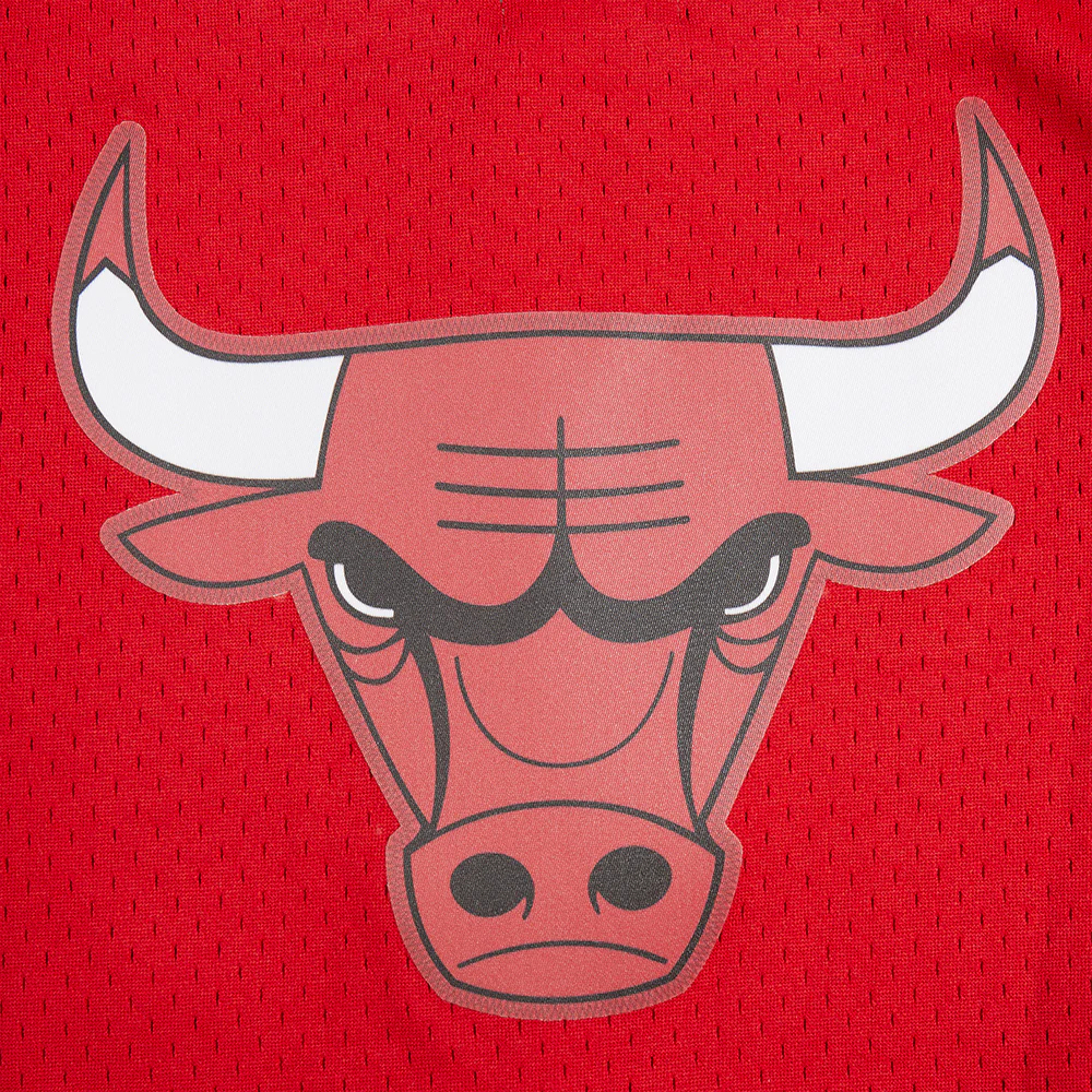 NBA CHICAGO BULLS CLASSIC BIG BOYS MESH BUTTON DOWN SHIRT (RED/BLACK) - Image 9