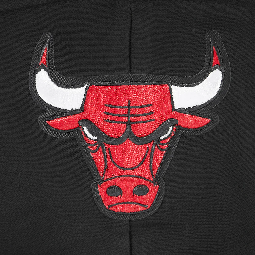 NBA CHICAGO BULLS WINGSPAN BIG BOY'S DROP SHOULDER FLC PO HOODIE (BLACK) - Image 6