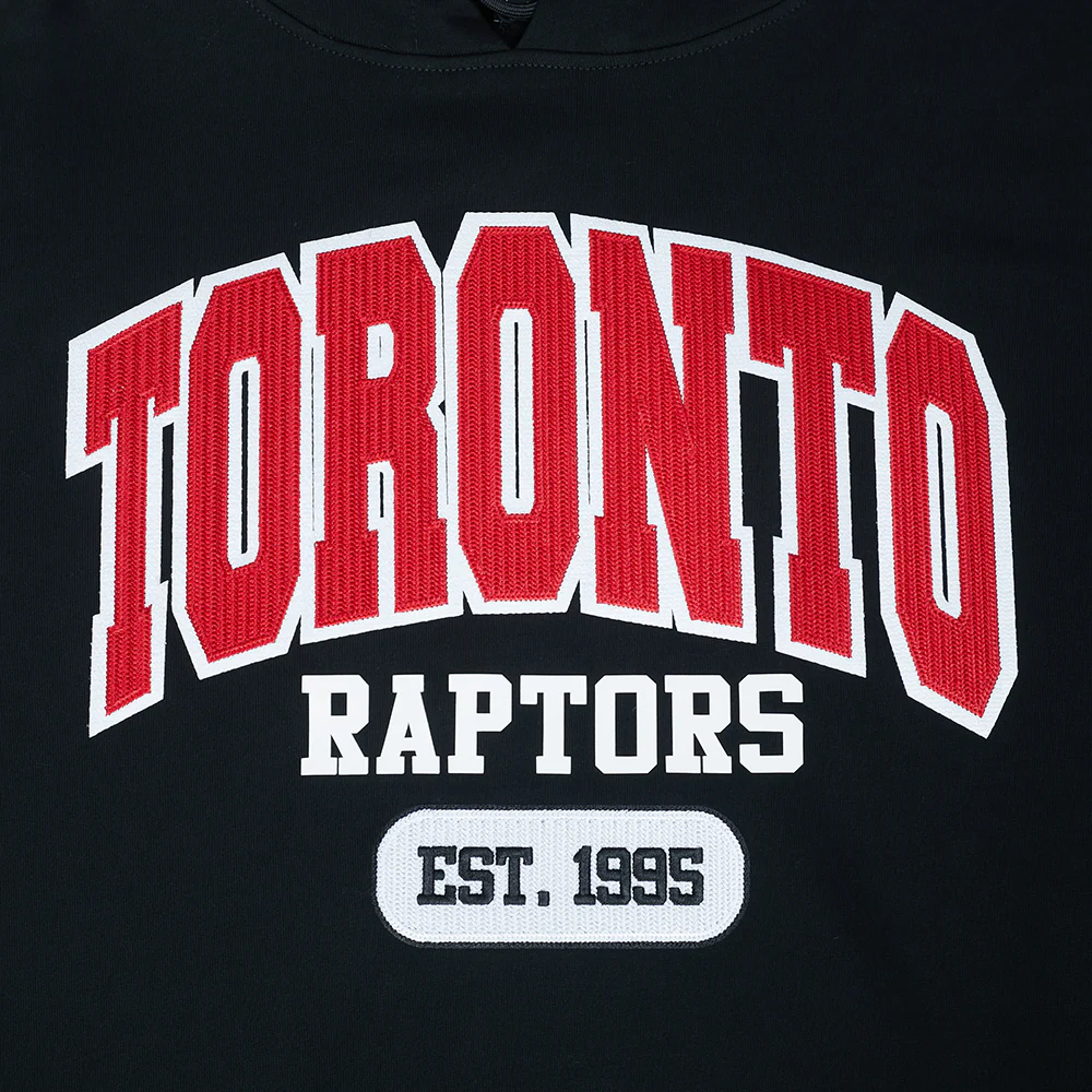 NBA TORONTO RAPTORS CITY ARCH MEN'S FLC PO HOODIE (BLACK) - Image 6