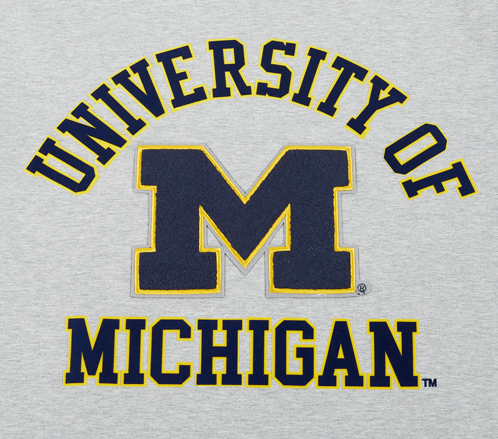 UNIVERSITY OF MICHIGAN CLASSIC MEN'S STACKED LOGO TEE (HEATHER GREY) - Image 5