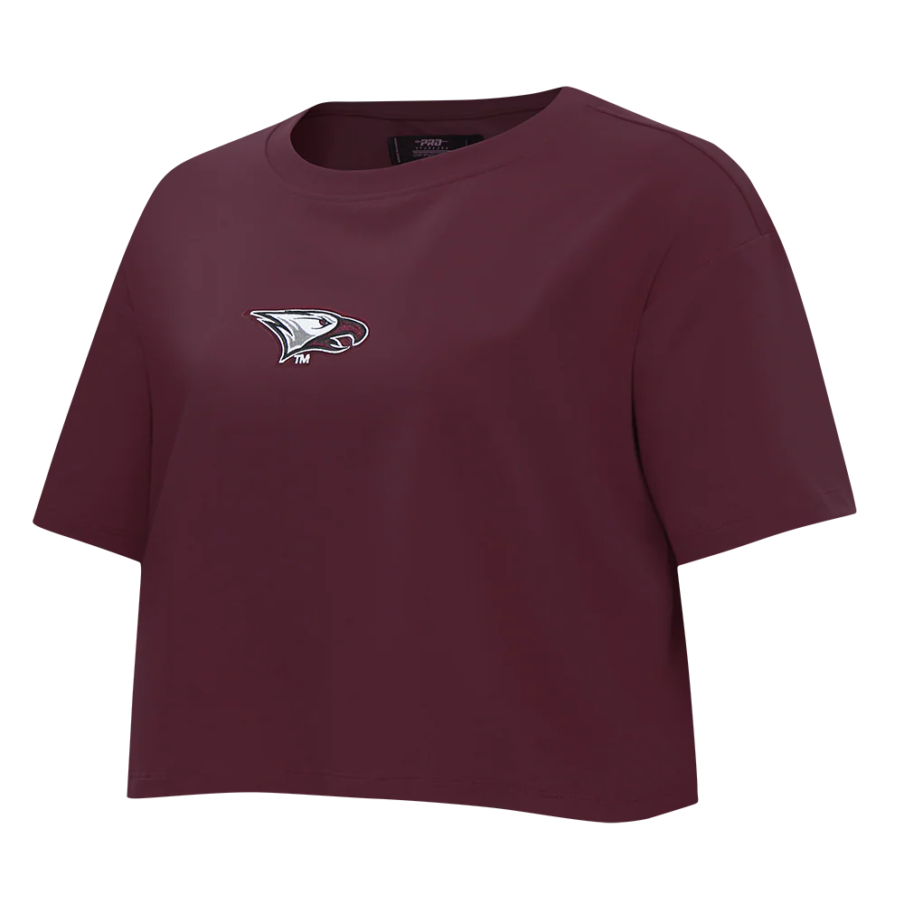 COLLEGE NORTH CAROLINA CENTRAL UNIVERSITY WINGSPAN WOMEN'S SJ BOXY TEE (WINE) - Image 3