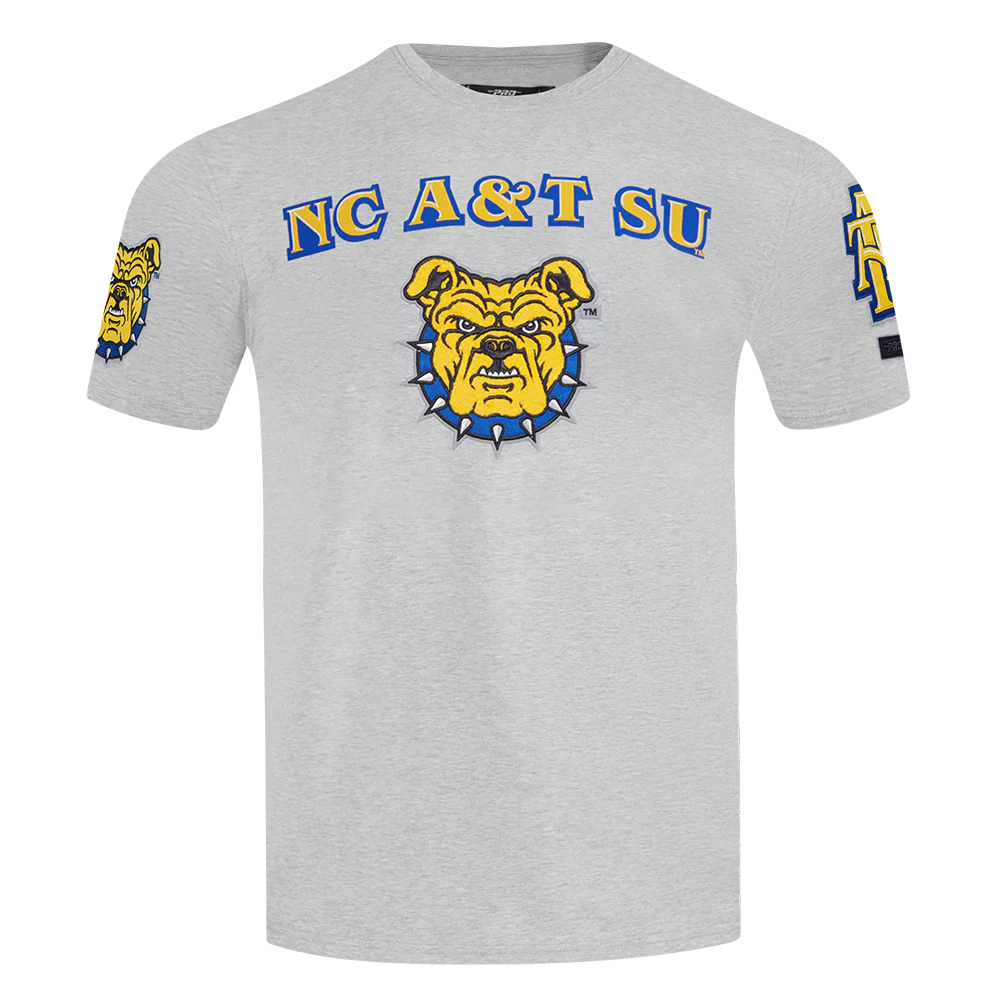 NORTH CAROLINA A&T STATE UNIVERSITY CLASSIC MEN'S STACKED LOGO (HEATHER GREY)