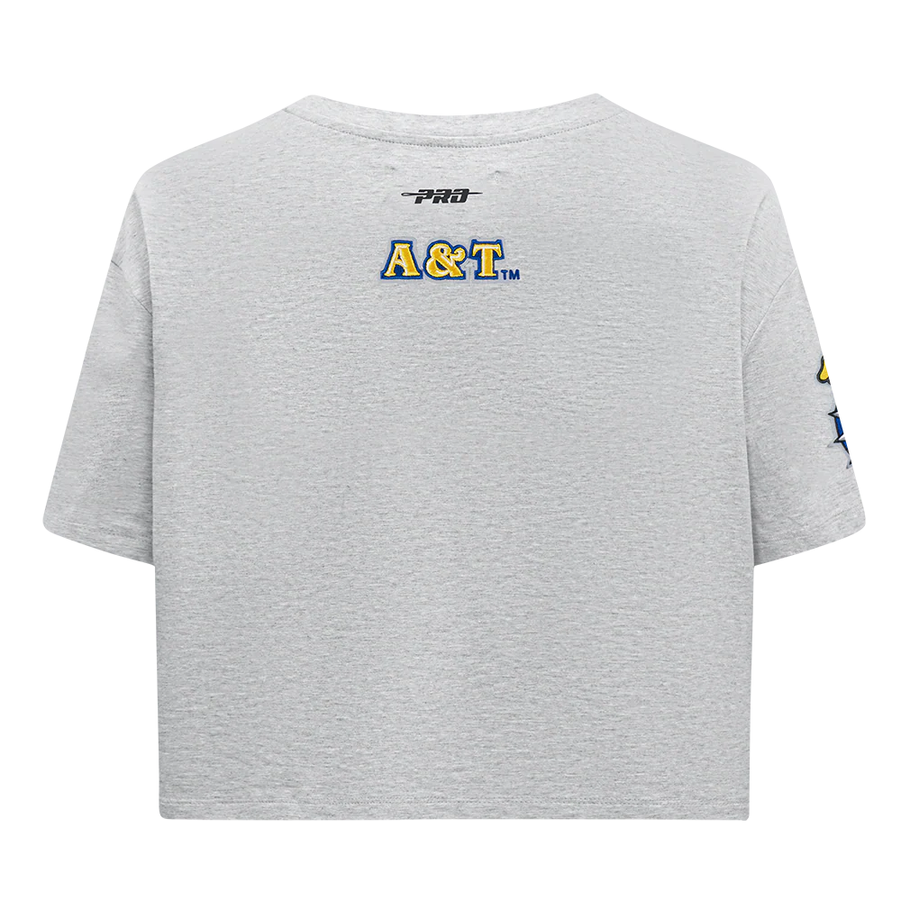 NORTH CAROLINA A&T STATE UNIVERSITY CLASSIC WOMEN'S SINGLE JERSEY BOXY TEE (HEATHER GREY) - Image 3