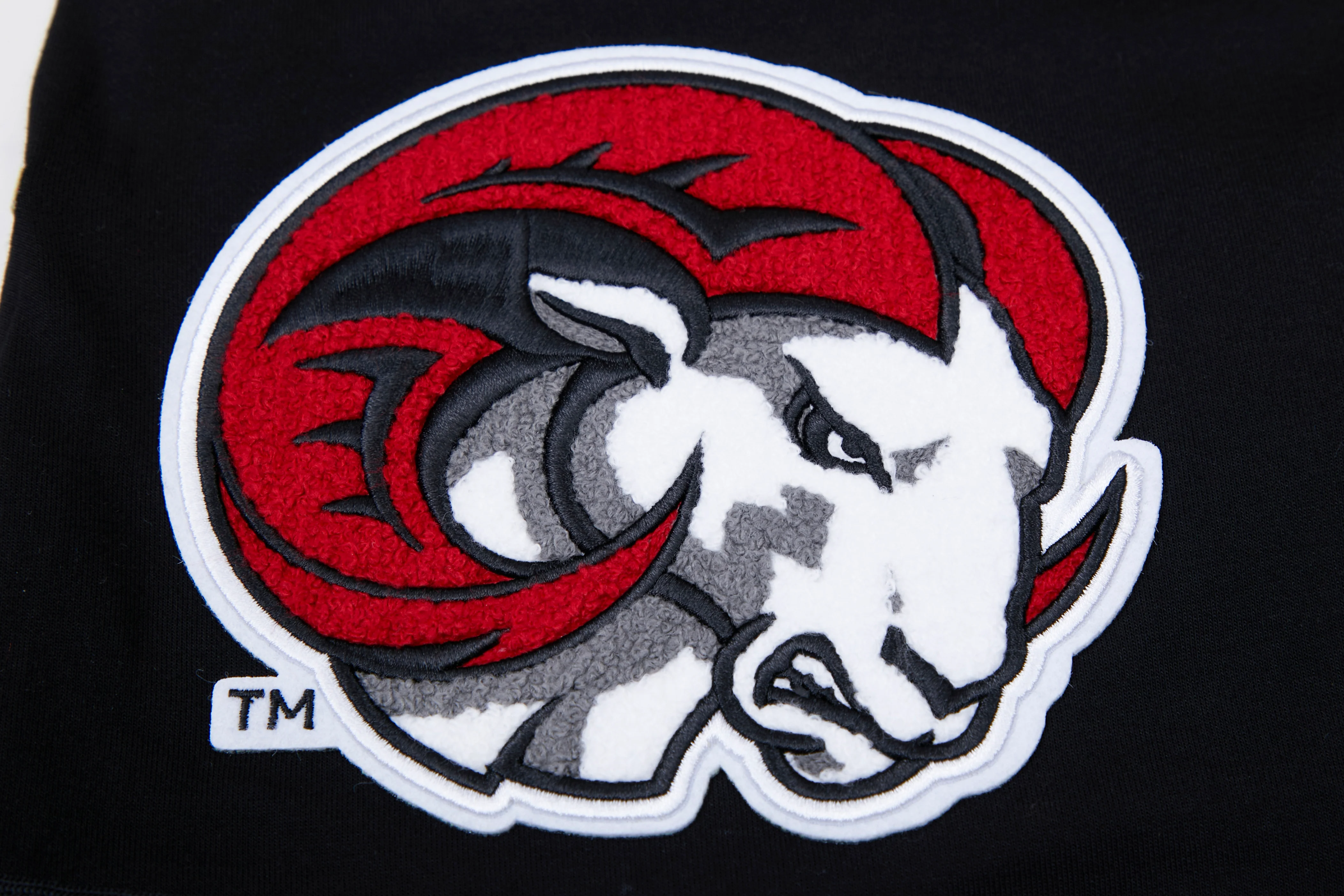 WINSTON SALEM STATE UNIVERSITY CLASSIC MEN'S SHORT (GRAY) - Image 5