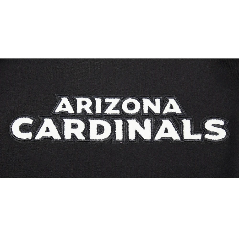 NFL ARIZONA CARDINALS CLASSIC TODDLER BOYS SHORT SLEEVE STRIPED RIB TEE (BLACK) - Image 9