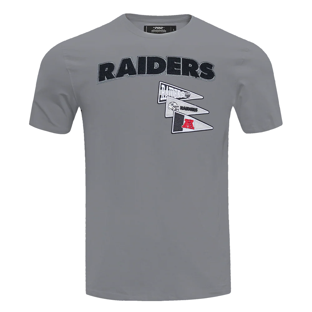 NFL LAS VEGAS RAIDERS TEAM PENNANTS MEN'S WORDMARK TEE (GRAY)