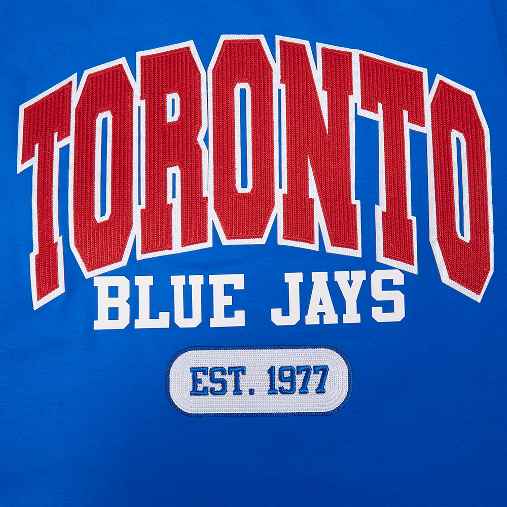 MLB TORONTO BLUE JAYS CITY ARCH MEN'S SJ TEE (ROYAL BLUE) - Image 6
